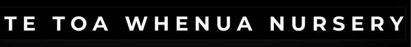 Te Toa Whenua Nursery